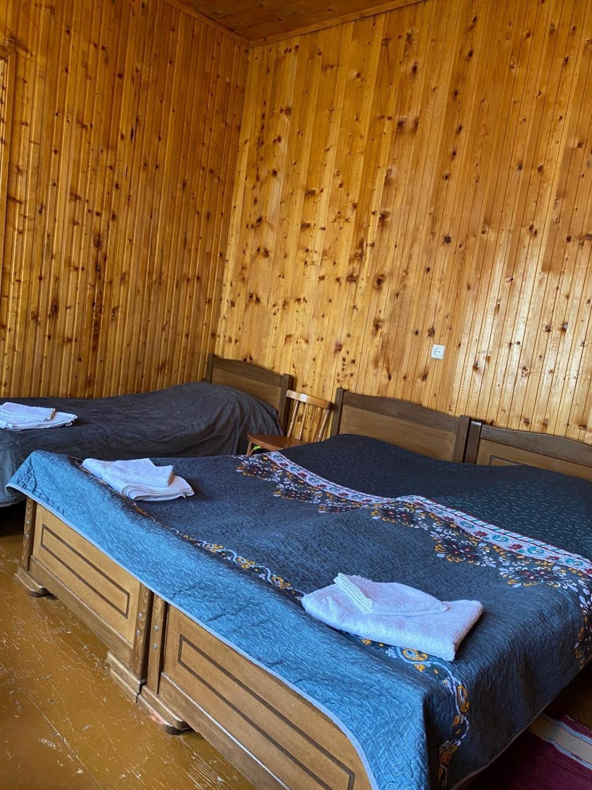 Lia Jamdeliani Guest House Bagvdanari Eksteriør bilde